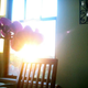 Image for article titled Shooting Challenge: Lens Flare Gallery Part One